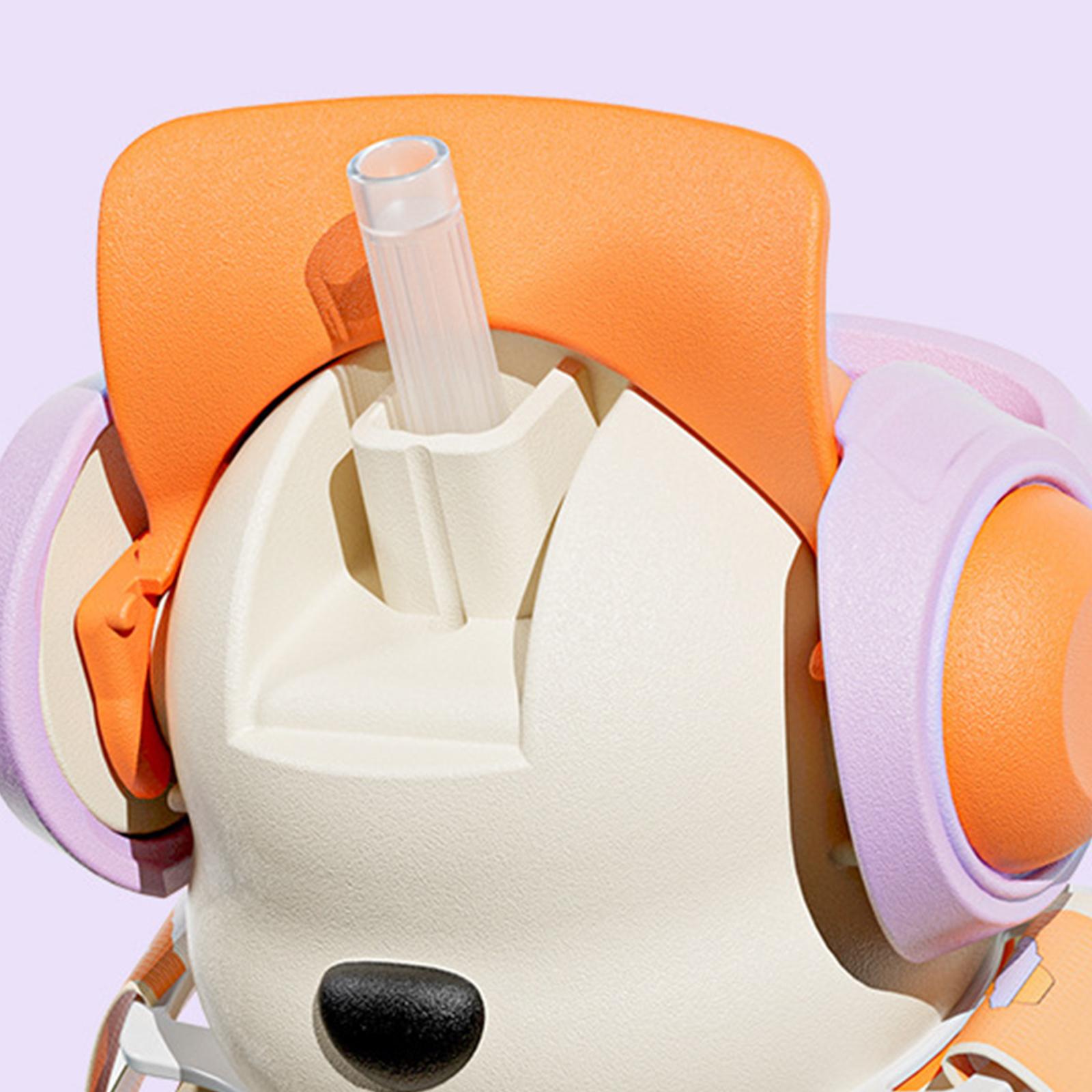 かわいいウォーターボトル 22オンス ウォータージャグ スポ - Outdoor Camping Water Jug のレビューと価格